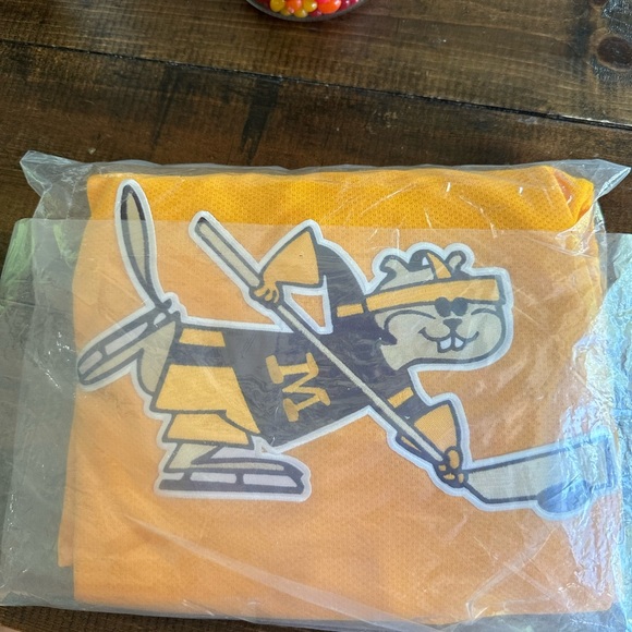 Minnesota Gophers Jersey - Picture 2 of 3